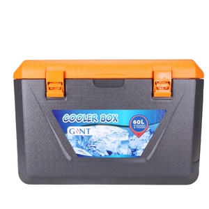 portable hiking beer outdoor sample plastic Car Cooler Box 12v Fishing Cooling Styrofoam Ice Portable Ice Vaccine Cooler Box