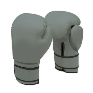 Boxing Gloves CHRT Boxing Gloves Pro Boxing Gloves With The Easy On Easy Off Quick Release Strap - Product Image 1