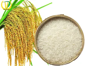 Riz blanc de jasmin du VietNam biologique de qualité supérieure pour l'exportation riz à grains courts fabrication à prix raisonnable