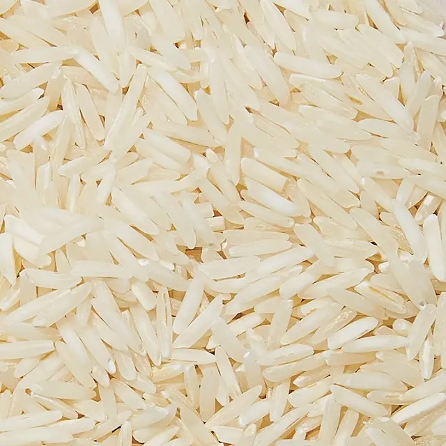 Panier de riz bodum thule, grains longs, pur, de qualité supérieure, de style punk, inde, g