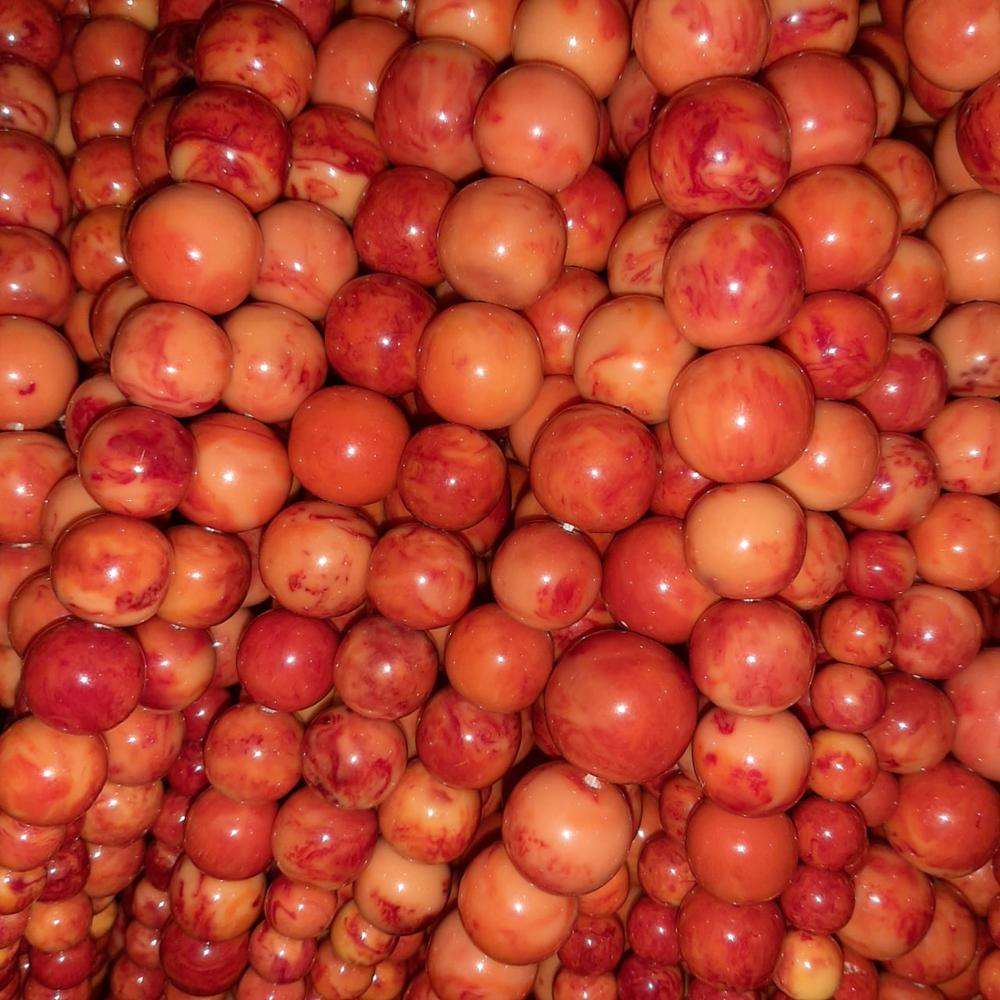 ธรรมชาติ