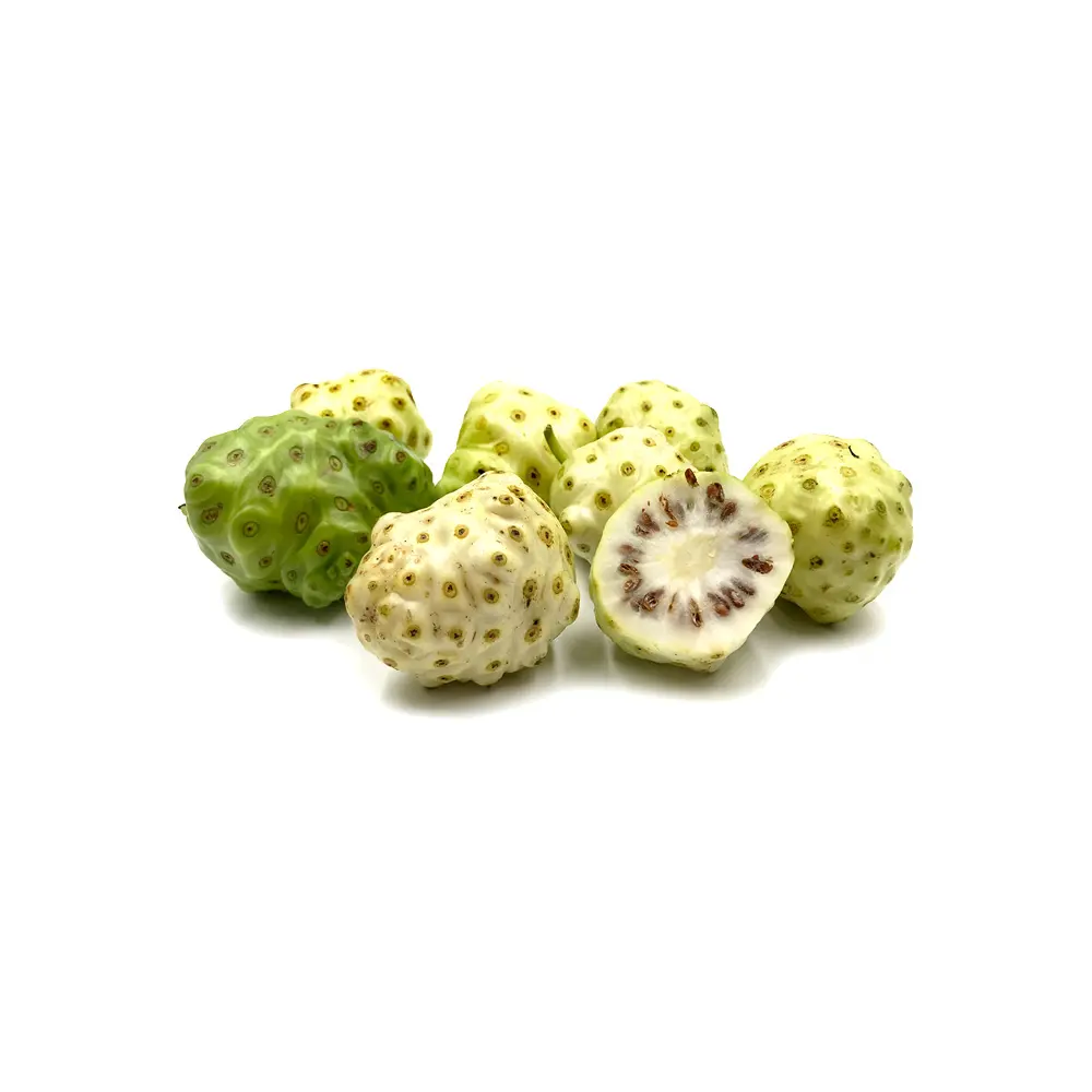 Frutti di alta qualità indiani Noni in vendita