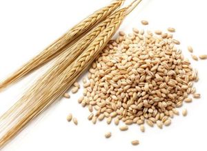 Kraian Barley, producto al por mayor - Product Image 2