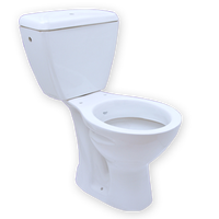 Siphonic Dual Flush S Trap Toilette deux pièces Wc Water Closet Toilette avec housse de siège à fermeture douce