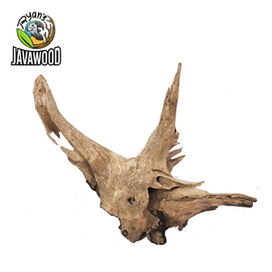 Прямая поставка с фабрики индонезийский производитель аквариумных Рыбок бонсай Aquascape для украшения дома в помещении из центральной <span class=keywords><strong>Java</strong></span> - Product Image 3