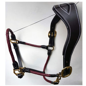 Licol de cheval fantaisie intelligent cuir tricoté roulé Design laiton matériel or Rose polonais Style occidental Nylon accessoires anglais - Product Image 4