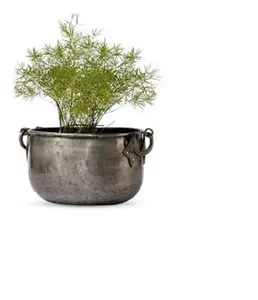 Metal Indoor Plants & Flowers Table Top Planter for Living Room Home Decor Terrace Balcony and Home Gardening