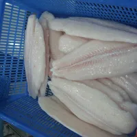 Grosir untuk Segar dan Beku IQF Basa, Pangasius Ikan dari Vietnam