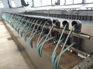 Celda de ánode membrana de intercambio de aniones tubulares, para capa electrónica, misma tipo EKK - Product Image 5