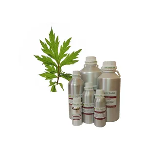 Minyak Davana Alami Artemisia Pallens Produsen Minyak Esensial Dalam Jumlah Besar Produsen Minyak Esensial Davana