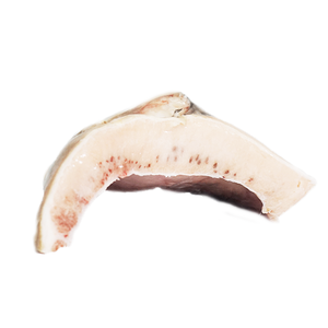 Larhueso de pez espada Natural nutritivo, bajo en grasa, certificación GMP, de la Costa de Marfil del Océano Indio - Product Image 5