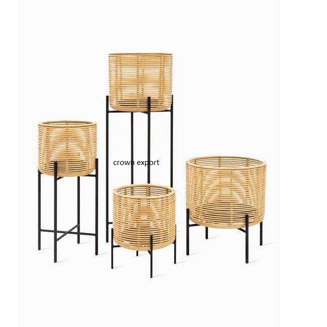 ธรรมชาติ &amp; สีดำ