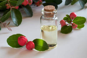 Huile Essentielle de Gaulthérie et de Tea Tree Certifiée GMP, Best-Seller pour Soins Corporels et Aromathérapie, Huile Non Diluée du Népal - Product Image 4