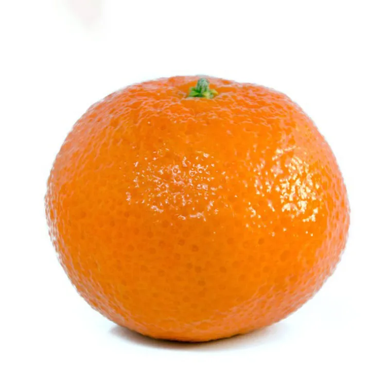 Fresh Pakistani Orange / Export Quality Tangerine Orange / Quality Orange for Sale