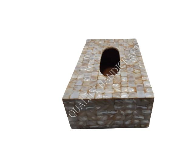 ไม้ถูพื้นสีขาว