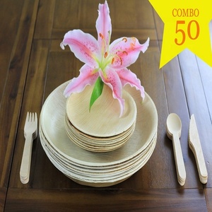 AA Higiénico Desechable Areca Hoja de Palma Plato de Grado Alimenticio Hermoso Diseño de Planta Grabado Ecológico para Bodas y Uso Doméstico - Product Image 2