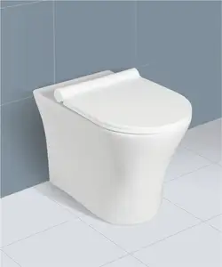Alltime Available Regular Design Ceramic Sanitaryware Venus S/P Trap 550x350x390mm EWC For Luxurious House.