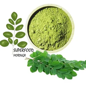 Superfood yeşil tozu doğal organik saf ve beslenme zengin Moringa yaprağı tozu hindistan