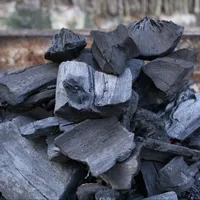 אלון עץ פחם/מנגרוב פחם