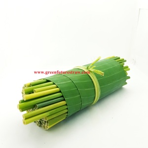 Venta directa de fábrica de Vietnam 100% pajitas de hierba de bambú natural para accesorios de bar - Product Image 3