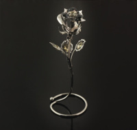 Ameuropéenne — fleur éternelle noire brillante, cristaux taillés, pour la saint valentin, cadeau pour la belle et la bête