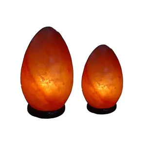 Lampu Garam Batu Himalayan, Lampu Garam Bentuk Telur Dipoles dengan Kotak Warna Kemasan-Perusahaan