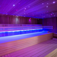 Optique de fiber de verre à vapeur étoile plafonnier pour sauna