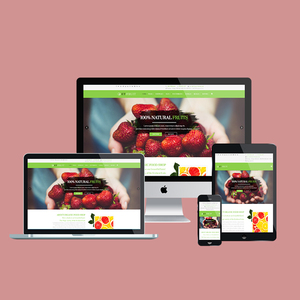 Professional PHP based dynamic <b>Software</b> Company for North America | Award winning App & Website <b>software</b> develop by PHP in India - Product Image 1