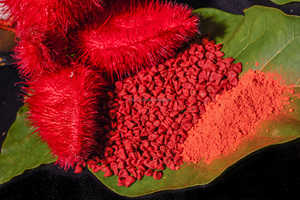 Semilla de Annatto Seca de Alta Nutrición con Especias / Semilla de Annatto Vietnamita - Semilla de Roucou Achiote / Shyn Tran +84382089109 - Product Image 2