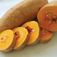 Pemasok Vietnam yang Terpercaya, Keripik Labu Manis Kering Dehidrasi, Irisan, Kualitas Pertama, Terkontrol, Bersertifikasi ISO HACCP, Umur Simpan 24 Bulan