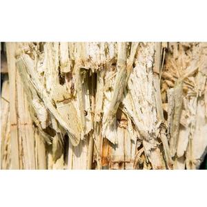 BAGASSE DE CANNE À SUCRE EN GRANDE QUANTITÉ POUR ALIMENTS ANIMAUX À PRIX RAISONNABLE - Product Image 1