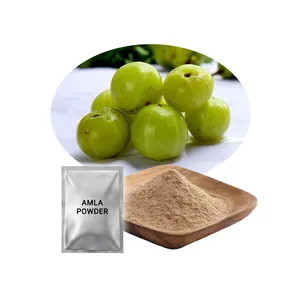 Indian Best Quality Organic Dried Amla Powder For Hair Growth Leading Manufacturer From India