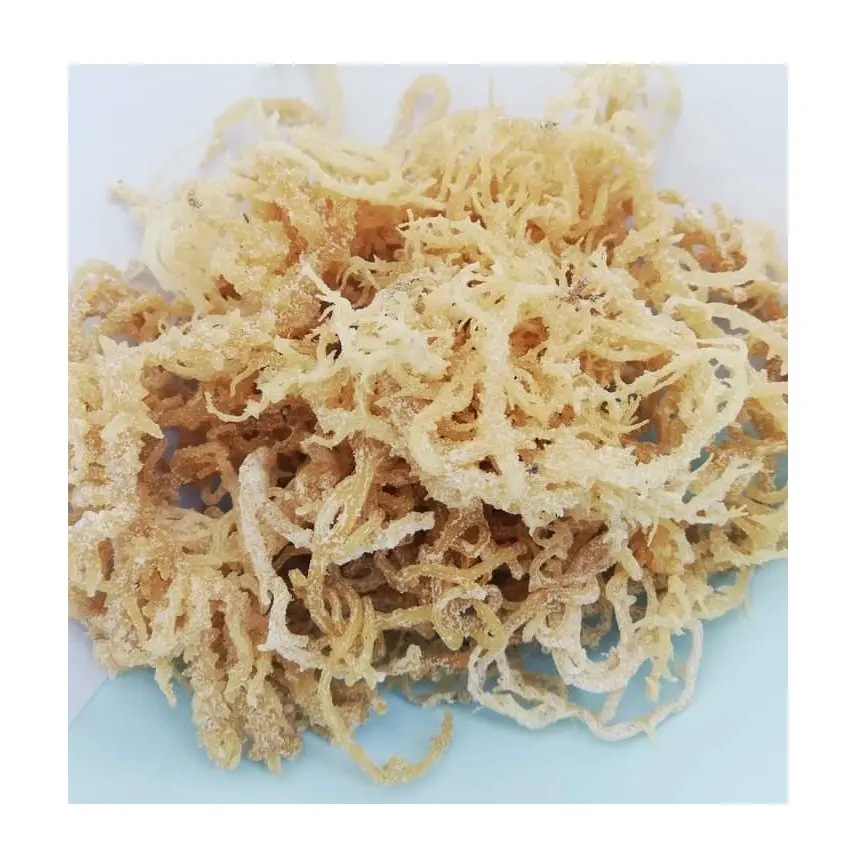 DRIED COTTONII SEAWEED WITH SALT HIGH QUALITY ORGANIC GOOD PRICE FROM VIETNAM