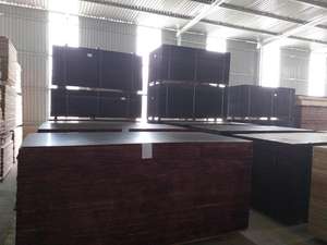 FILM facial en contreplaqué, 11.5MM - Product Image 6