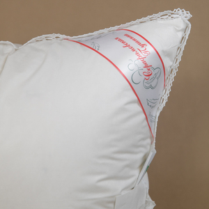 Almohada de cama Gloria 50x70 para dormir 100% algodón pluma de ganso Natural almohada transpirable con precio competitivo almohada de cama - Product Image 2