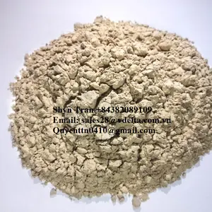 Dried Brewer's Yeast Powder Cheap Price From Vietnam - Rich In Protein and Nutrients / Shyn Tran +84382089109