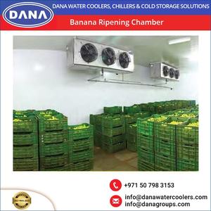 Ethiopia Bảo hành chất lượng buồng Ethylene chuối chín phòng cho nhà hàng khách sạn & Bán Lẻ-Bảo hành 1 năm mới - Product Image 4