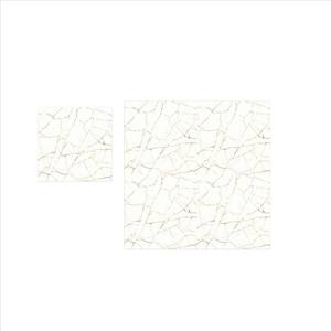 Baldosas de cerámica esmaltadas pulidas para baño y sala de estar 40x40cm - Product Image 4