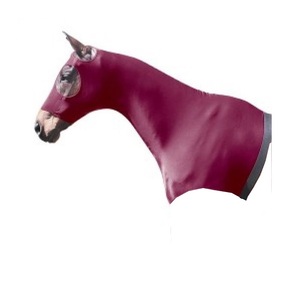 Alta calidad personalizable cuello completo estirable capucha de caballo Sleazy Equine Jodhpurs calzones varios tamaños hechos Spandex Nylon - Product Image 1