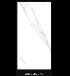 Baldosas duras de cerámica de color gris 60x120cm - Product Image 2