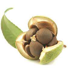 Aceite Portador de Semillas de Camelia Prensado en Frío 100% Puro con Aloe Vera, Jojoba, Oliva, Coco, Aguacate, Argán y Semilla Negra para el Cuidado del Cabello y la Piel - Product Image 5