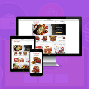 eCommerce Portal Development and Design Company in India | Top Notch eCommerce Portal Development Services by Webroot Infosoft - Product Image 4