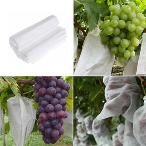 ผ้าโพลีเอสเตอร์ 100% แบบไม่ทอ สำหรับป้องกันผลไม้และผัก ป้องกันพืชผลทางการเกษตร ป้องกันแบคทีเรีย เป็นมิตรกับสิ่งแวดล้อม กำหนดน้ำหนัก GSM ได้ตามต้องการ - Product Image 2