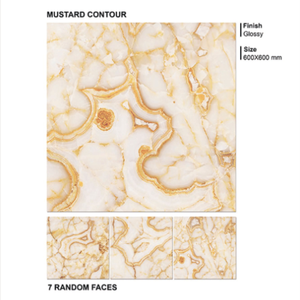 Greenwood ขนาด600x600มม. กระเบื้องเคลือบเงามันวาวสไตล์ยุโรปสำหรับตกแต่งภายในสวน - Product Image 4