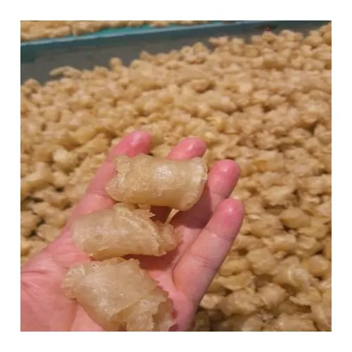 Bexiga seca/seca da natação do peixe para sopa da china