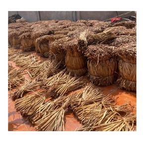 เชือกผักตบชวาแห้งราคาดีที่สุดผักตบชวาแห้งจากเวียดนาม // ราเชล: + 84896436456 - Product Image 5