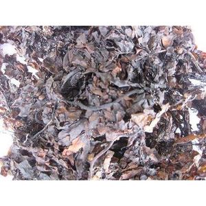 Algas secas Sargassum para alimentación y fertilizante, el mejor precio en 2021, ámbar + 84383004939 - Product Image 3