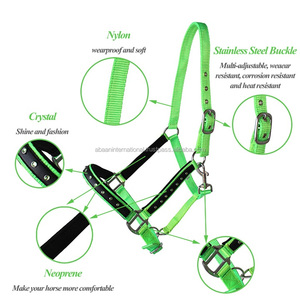 Caballo ecuestre duradero ecológico de alta calidad, Halter de nailon, acolchado suave de neopreno, accesorio de latón, fabricante de logotipo personalizado - Product Image 1