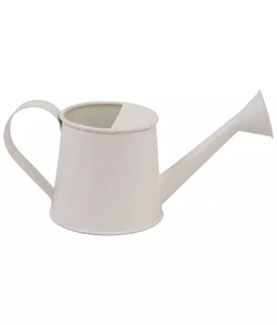 Arrosoir en fer galvanisé pour la maison et le jardin, Pot d'arrosage décor, outil d'arrosage avec pichet et finition chromée, offre spéciale, - Product Image 2