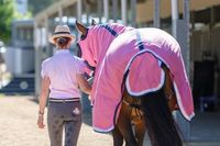 Ensemble de couverture et de capuche de luxe pour cheval d'été 2022, couvertures pour cheval d'été 2022, meilleure qualité, couleur rose